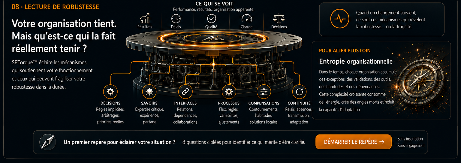 08 · Lecture de robustesse — mécanismes qui soutiennent réellement l’organisation.